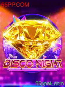 DiscoNight